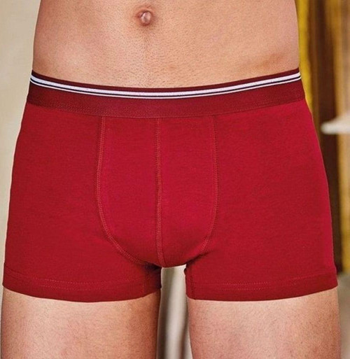 1097 Likralı Erkek Boxer Paçalı Külot 6 Adet
