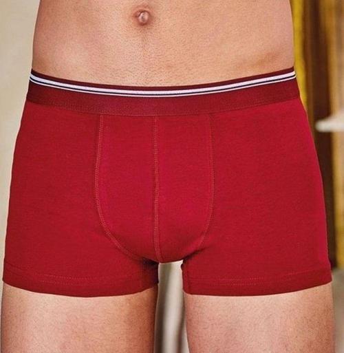 1097 Erkek Likralı Esnek Boxer 2 Adet