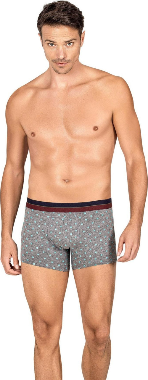 Erkek Modal Desenli Boxer 264 - 12 Adet