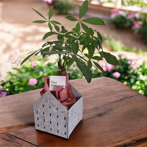 Dekoratif Saksı Kutu Organizer Keçe Sepet Çok Amaçlı 20X20X25 Cm 3 Mm Keçe