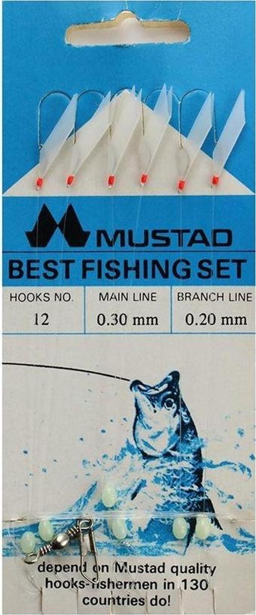 Best Fishing Set 0,30 0,20 Mm No:12 Çapari