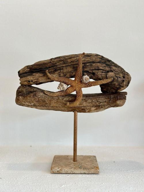 Sooboho Ahşap Driftwood Deniz Kabuğu Dekor Biblo