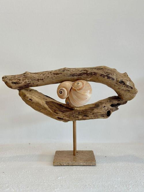 Sooboho Ahşap Driftwood Deniz Kabuğu Dekor Biblo