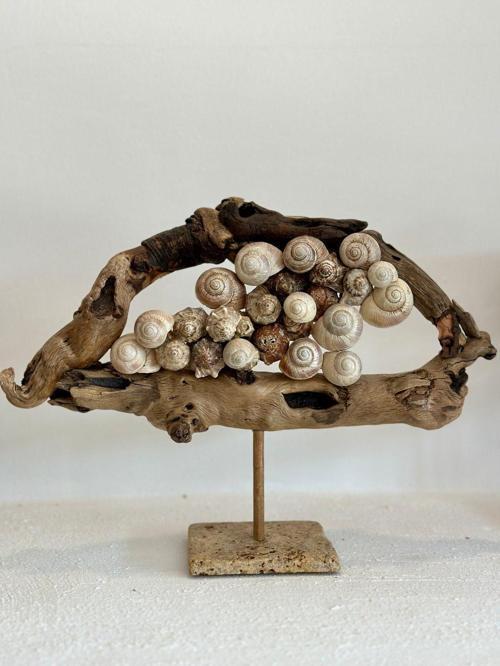 Sooboho Ahşap Driftwood Deniz Kabuğu Dekor Biblo