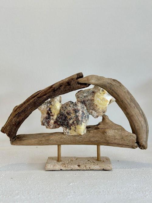 Sooboho Ahşap Driftwood Deniz Kabuğu Dekor Biblo