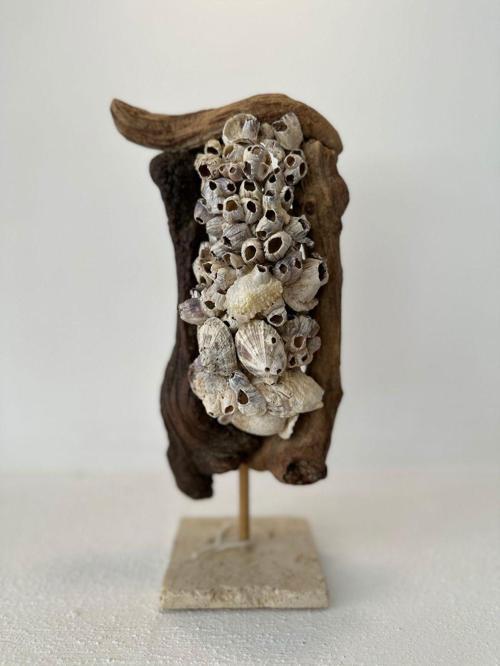 Sooboho Ahşap Driftwood Deniz Kabuğu Dekor Biblo