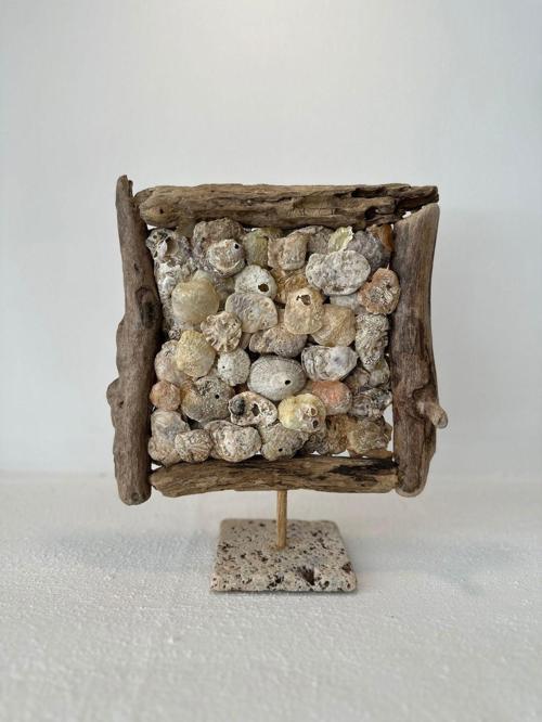 Sooboho Ahşap Driftwood Deniz Kabuğu Dekor Biblo