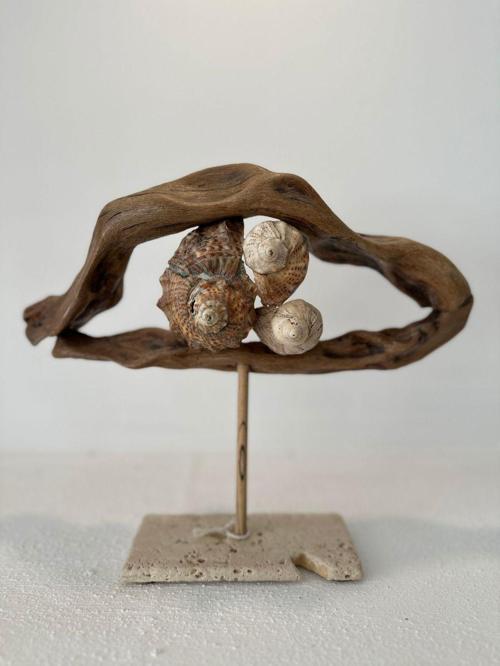 Sooboho Ahşap Driftwood Deniz Kabuğu Dekor Biblo