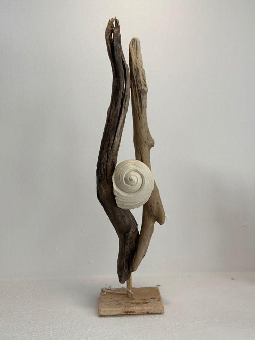 Sooboho Ahşap Driftwood Deniz Kabuğu Dekor Biblo