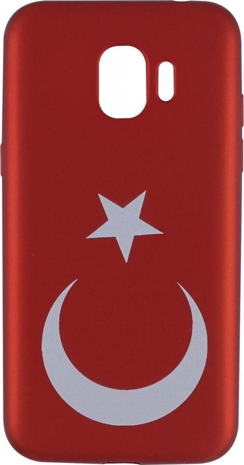 Samsung Galaxy J250 J2 Pro Uyumlu Desenli Seri Arka Koruma Kılıf - Desenli/Resimli