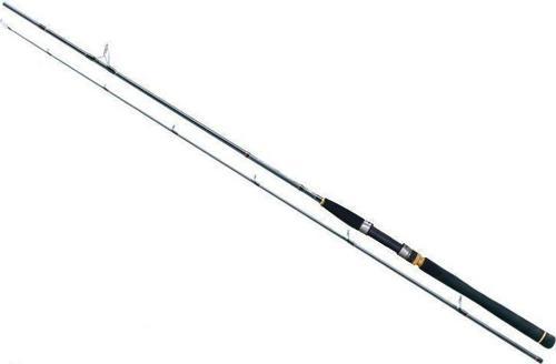 İnfinity Seabass Nbb822m 2,49m 7-28gr Kamış