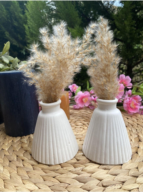 Pampas Vazosu - Iskandinav Dekoratif Beton Vazo Biblo 10 Cm Çok Şık 2 Li Takım