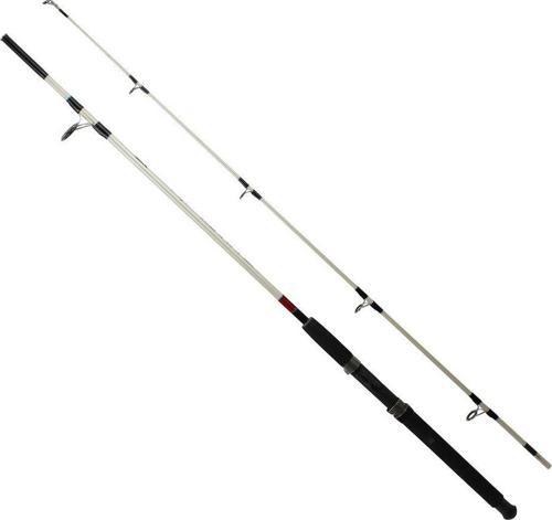 Ashi Gani 6,6 8-15lb Kamış