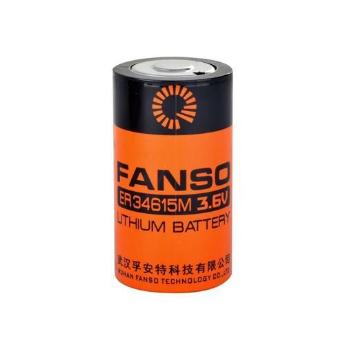 ER34615M - D Size - 3.6V Li-SOCI2 Lithium Pil