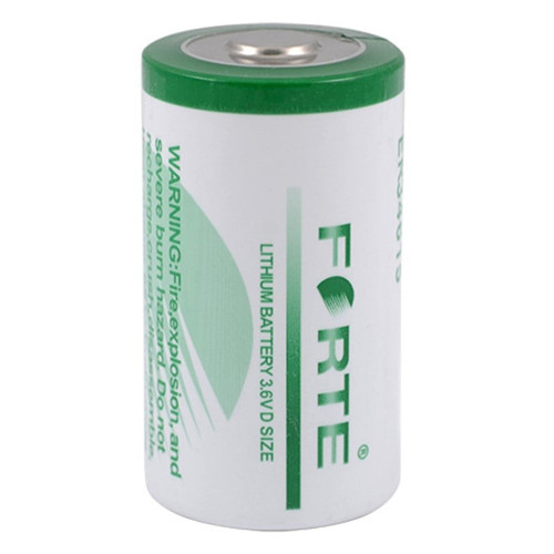 3.6V ER34615 D Size Lithium Pil