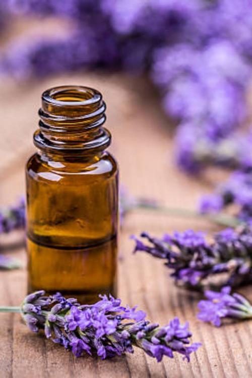 Lavanta Buhurdanlık & Mum Esansı 20 ml