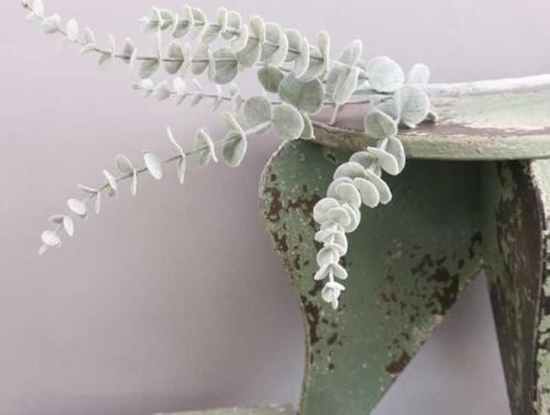 Yapay Çiçek Pastel Karlı Okaliptus 48cm 5Dallı Uzun Dal Eucalyptus