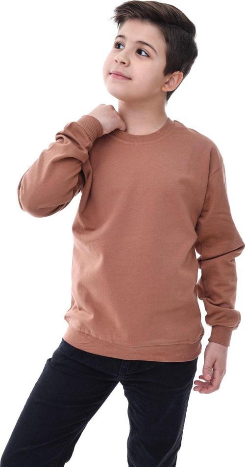 Basic Bisiklet Yaka Şardonlu Çocuk Sweatshirt 3-10 Yaş Kahverengi