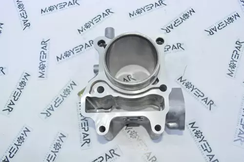 RG 044 REGAL RAPTOR DD250 GAZ TELİ 2'Lİ SET