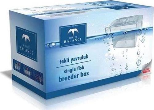 Tekli Balık Yavruluk 15x8x8 cm