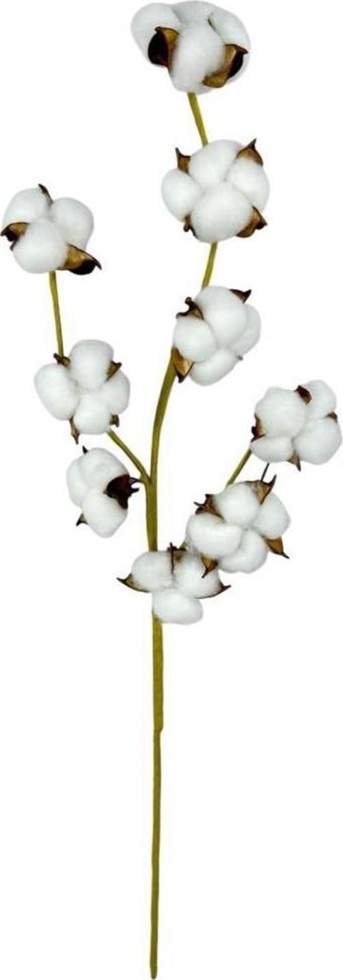 Doğal Pamuk Çiçeği 9lu Kuru Çiçek 60cm Yapay Çiçek 