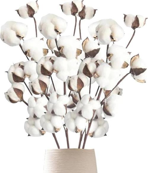 3lü Set Doğal Pamuk Çiçeği 9lu Kuru Çiçek 60cm Yapay Çiçek 