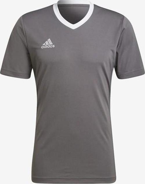 Entrada 22 Jersey Erkek Forma HE1574