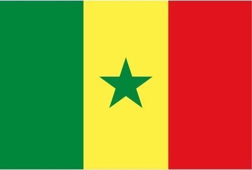 Senegal Gönder Bayrağı 70X105 Cm.