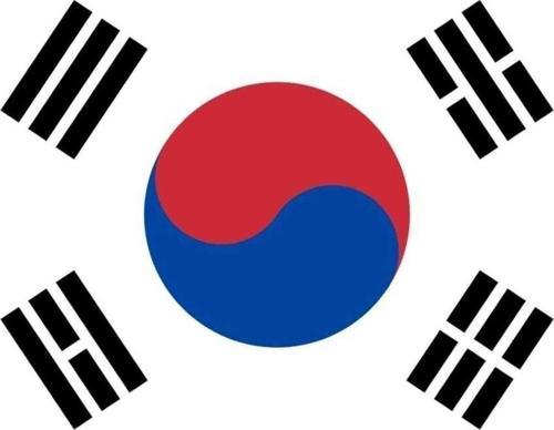 Güney Kore Cumhuriyeti Bayrağı 30X45 Cm.