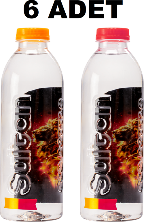 GALATASARAY LİSANSLI FLORYA SUYU 400ML x 6 ADET