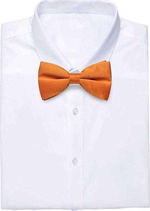 Erkek Düz Renk Saten Papyon