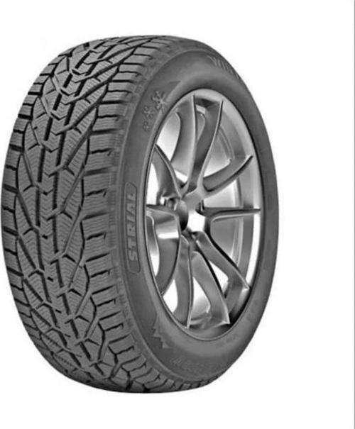 Winter 205/55R17 95V XL (Kış) (2024)