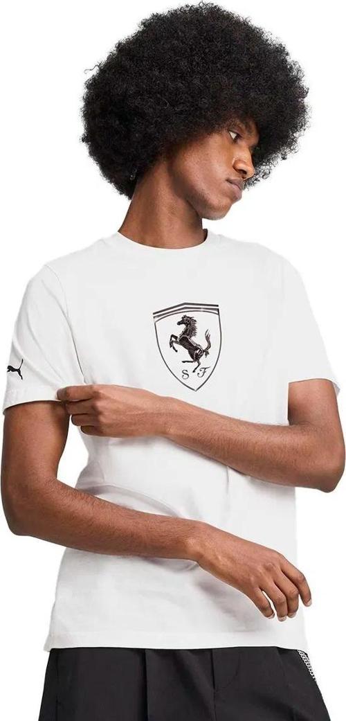 Ferrari Race Tl Big Shield Erkek T-shirt 63018904