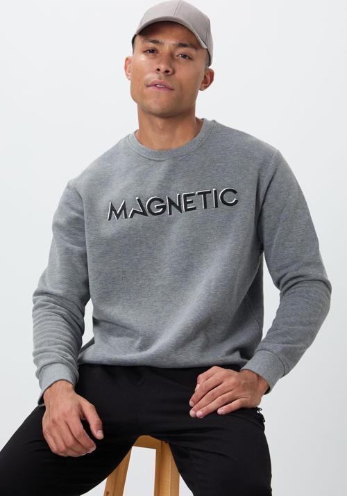 Gri Melanj Yazı Nakışlı O Yaka Rahat Form İçi Polarlı Erkek Sweatshirt - 88020
