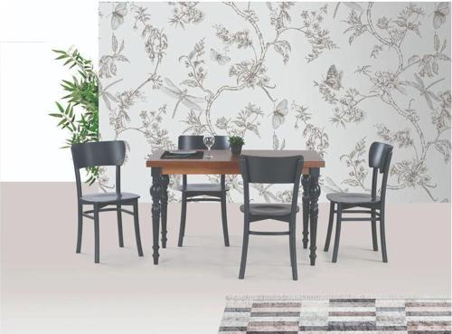 DAMLA SABİT MASA VE KAPALI KELEBEK SANDALYE TAKIMI, ANTRASİT, 125x80