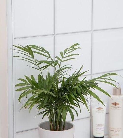 346-2564 Beyaz Kalebodur Desen Yapışkanlı Folyo