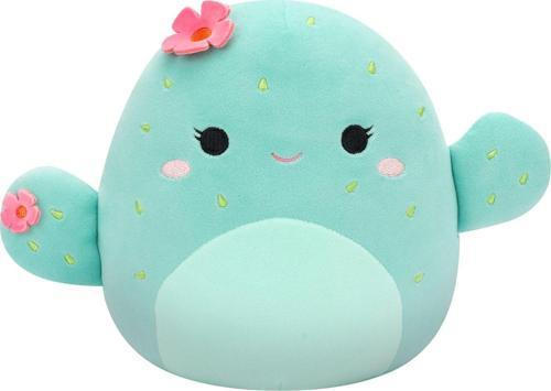 Kaktüs Graciela 20 cm CR06580