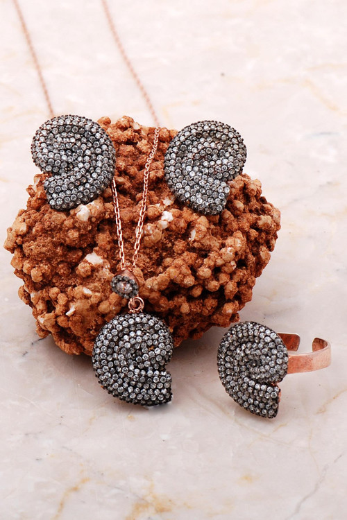 Salyangoz Rose Gümüş Set 2228