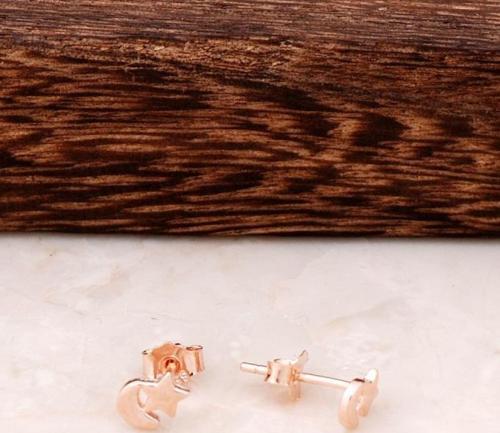 Ay Yıldız Rose Gümüş Tasarım Mini Küpe 4342
