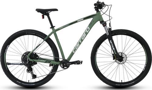 DAYTONA 29 910 520H 10-V HD ANTIK YESIL-NARCICEGI-BEYAZ R1