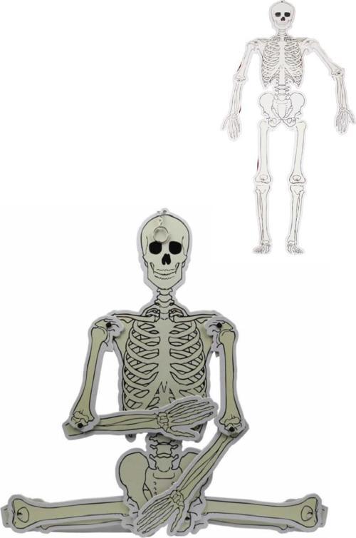 Büyük Boy Karton Iskelet Modeli 90 Cm 1 Adet