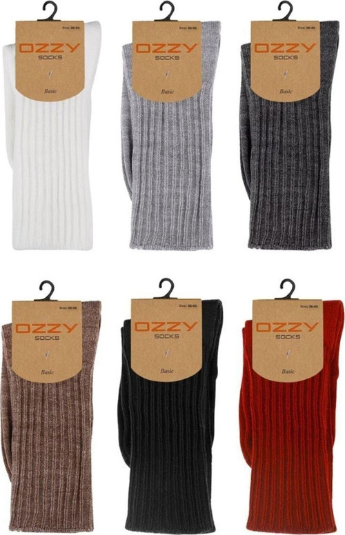 6'Lı Kışlık Kadın Yünlü Uyku Çorabı Soft Touch Çok Renkli 36 - 40