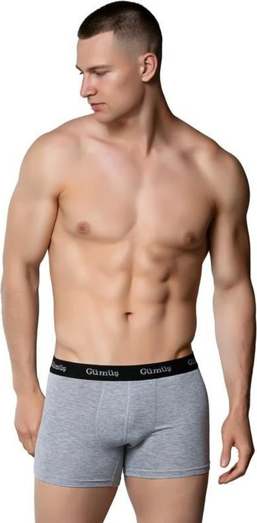 6 Adet Gümüş Erkek Renkli Likralı Spor Boxer 3074