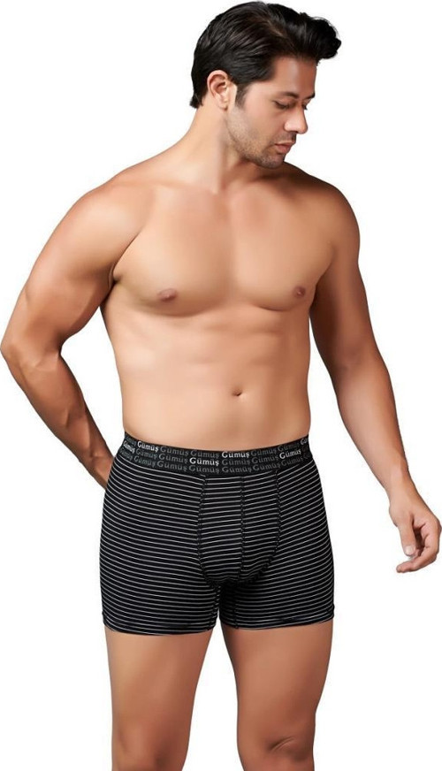 6 Adet Gümüş Erkek Çizgili Likralı Spor Boxer 3114