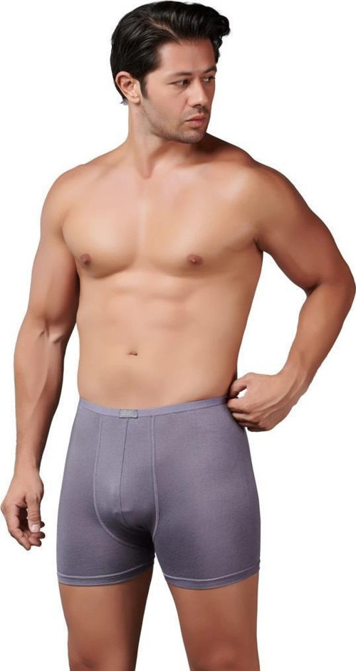 6 Adet Gümüş Erkek Bambu İnce Bel Elastan Boxer 8007