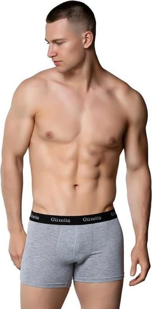 6 Adet Gümüş Erkek Renkli Likralı Spor Boxer 3074