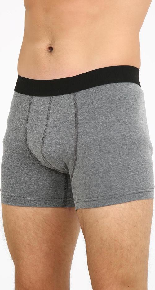 Fpb8002 Erkek Boxer