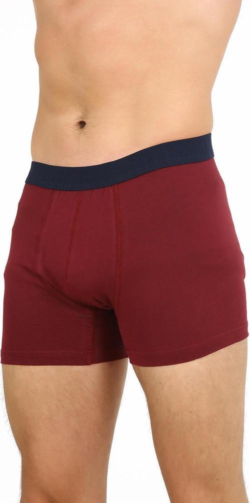Fpb8002 Erkek Boxer