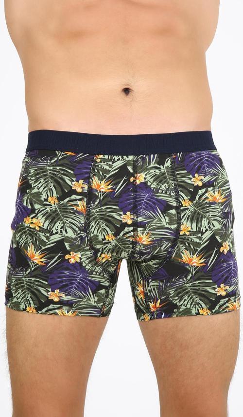 Fpb8001 Desenli Erkek Boxer
