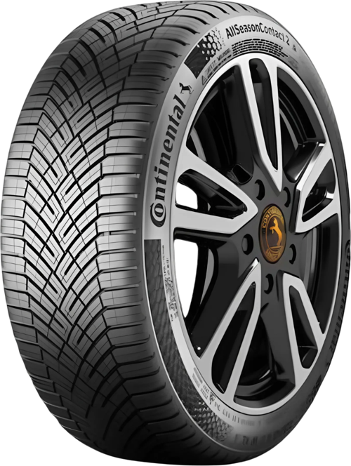 215/60 R16 99V XL All Season Contact 2 Dört Mevsim Lastiği - 2025